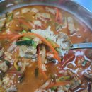 오로지생태한마리 이미지