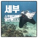 아자(aja) | 🤿 세부 스쿠버다이빙 체험, 펀다이빙 오픈워터/어드밴스드 자격증 최저가 업체 추천!