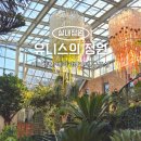 아이-정원 | 유니스의 정원 서울 근교 아이와 가기 좋은 실내 정원 솔직 후기