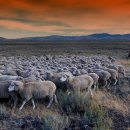 하늘구름목장 이미지