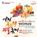 2014 영천 한약 과일 축제 풍경 이미지