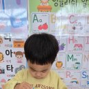 머리카락물들이기