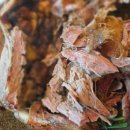 5192 | 계양구맛집 가나안덕 계양점 부모님 모시고 몸보신 제대로 하고 온 내돈내산후기