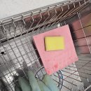 펀지키즈풀빌라2 | 펀지키즈풀빌라 대부도 키즈펜션 추천 대부도 가볼만한곳으로 괜찮았던 대부도 풀빌라