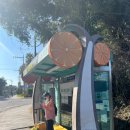 동광로11길 1 | 뚜벅이의 5박 6일 제주 여행기 - 4일차(26.02.21)