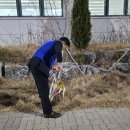 도안동 행정복지센터 이미지