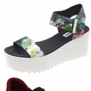 스포티브 이미지