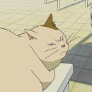 고양이의 보은 이미지