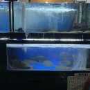 바다식자재할인마트 이미지