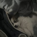 희망로46번길 이미지