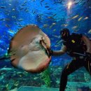 스탠포드호텔 부산 이미지