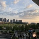 버드나무크래프트 : 맛과 분위기 다 잡은 레스토랑, 동탄 레이크꼬모 맛집