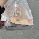 원신흥초교 | [ 원신흥동맛집 천년닭강정 유성점 꽉 찬 한 마리 포장 후기 ]