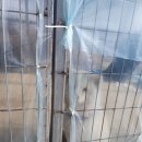 [경북예천영주1박2일여행정리] 영주 유리 농협파머스마켓 영주365시장