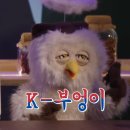 창너머꿈 이미지