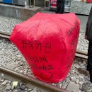 청렴스시 | 늦은 2024년 돌아보기(상반기)