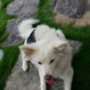 견불동산장 이미지