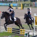 영천시운주산승마조련센터 이미지