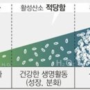 동아산소 이미지