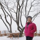 신선농원 - 천안시 서북구 독정2길 1 | 신선농원