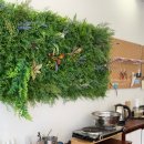 매화마을사거리.주택단지 이미지