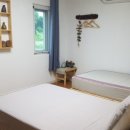 vivere 906 이미지