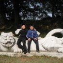 다사로움태권도 이미지