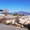 샘밭약국 이미지