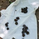 경운공원 이미지