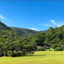 푸른숲계곡산방 | 진도 운림산방 배롱나무꽃 절경 명소 위치 입장료 주차정보