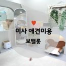 보밸롱 네이버블로그