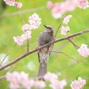 부산배화학교 이미지