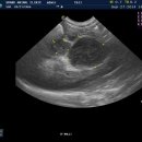 그랜드24시동물병원 이미지