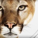 마운틴소프트웨어 이미지