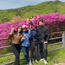 웅천읍 노천리534-1 이미지