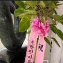 이룸인터내셔널