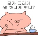 코카펠라 네이버블로그