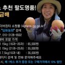 금배농장 이미지