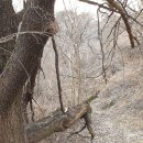 아영면 오산마을 이미지