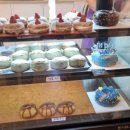 하이도나 이미지