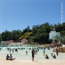 CU시민회관점 | 캐리비안베이 후기 : 할인/준비물/가는법/버스/웨이팅/매점 가격/비용 총정리! (7월 방문 파도풀 DJ파티)