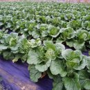 대봉노래연습장 이미지