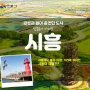 시흥 낭만출사 여행, 시티투어 시범운영 이미지