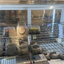 어피펄(APEOPER) 이미지