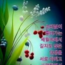 고운님 Daum카페