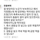 옛날솥뚜껑 이미지
