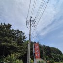 삼백조