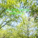 지리산예치마을당근펜션 네이버블로그