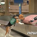 예우축산 이미지