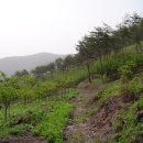 차경농장 이미지